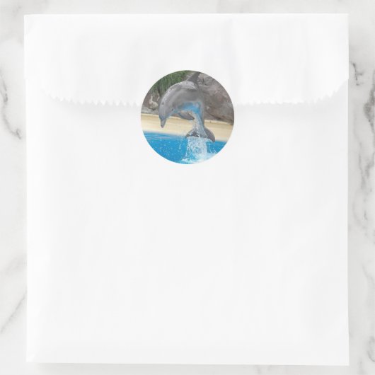 Jumping Dolphin Sticker (Tas)
