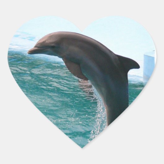 Jumping Dolphin Stickers (Voorkant)