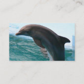 Jumping Dolphin Visitekaartje (Achterkant)