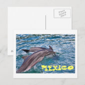 Jumping Dolphins Mexico Briefkaart (Voorkant / Achterkant)