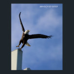 Jumping Eagle Poster<br><div class="desc">Jumping Eagle</div>