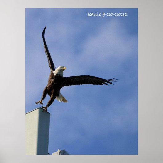 Jumping Eagle Poster (Voorkant)