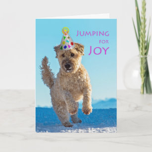 Jumping for Joy, Wheaten Terrier, Birthday Kaart