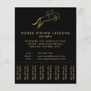 Jumping Horse   Horseback Riding   Paardentrainer Flyer