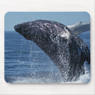 Jumping Humpback Whale Muismat