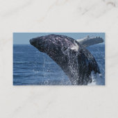 Jumping Humpback Whale Visitekaartjes (Achterkant)