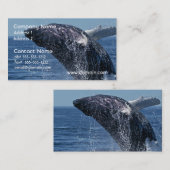Jumping Humpback Whale Visitekaartjes (Voorkant / Achterkant)