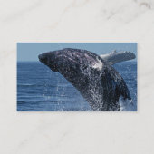 Jumping Humpback Whale Visitekaartjes (Achterkant)