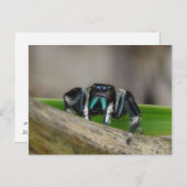 Jumping Jack. Briefkaart (Voorkant / Achterkant)