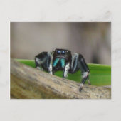 Jumping Jack. Briefkaart (Voorkant)