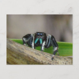 Jumping Jack. Briefkaart