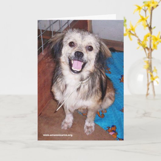 Jumping Jack Flash-Wenskaart Kaart (Gele Bloem)