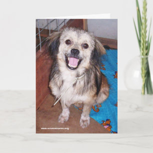 Jumping Jack Flash Wenskaart Kaart