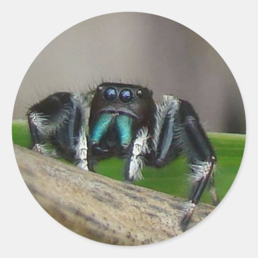 Jumping Jack Stickers (Voorkant)