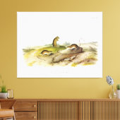 Jumping Mouse, of Meadow Jumping Mouse, van Audubo Canvas Afdruk (Insitu (Woonkamer))