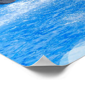 Jumping Orca Whale Poster (Hoek)