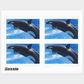 Jumping Orca Whale Rechthoekige Sticker (Vel)