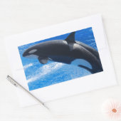 Jumping Orca Whale Rechthoekige Sticker (Envelop)