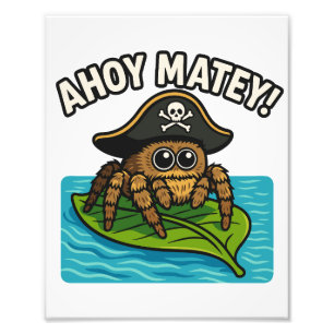 Jumping Pirate Spider Adventure Captain Webbeard Foto Afdruk