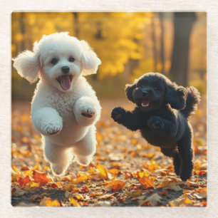 Jumping poedel Puppies Glazen Onderzetter