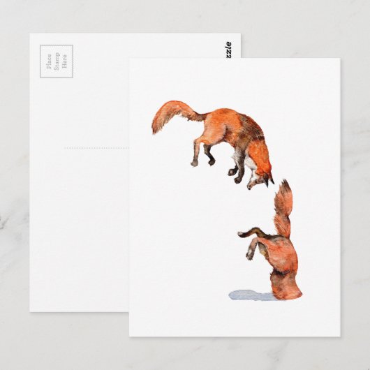 Jumping Red Fox Briefkaart (Voorkant / Achterkant)