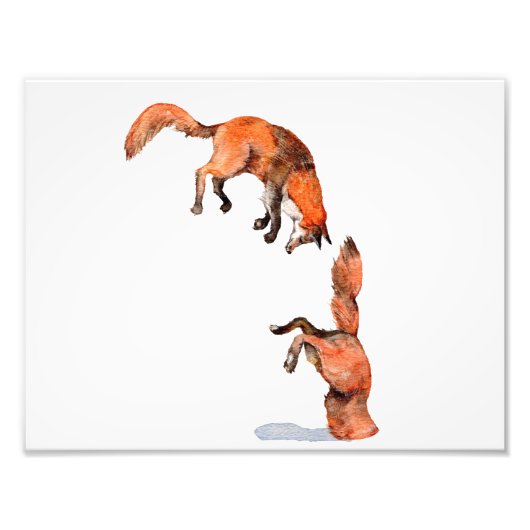 Jumping Red Fox Foto Afdruk (Voorkant)