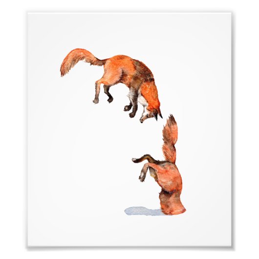 Jumping Red Fox Foto Afdruk (Voorkant)