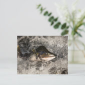 Jumping Salmon Briefkaart (Staand voorkant)