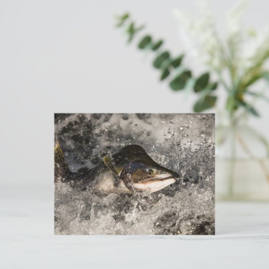 Jumping Salmon Briefkaart (Staand voorkant)