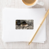 Jumping Salmon Etiket (Insitu)