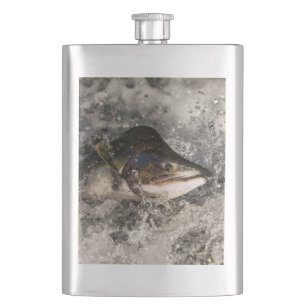Jumping Salmon Flacon