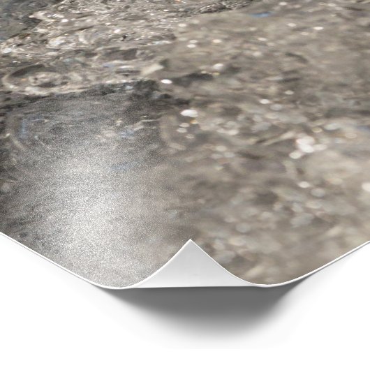 Jumping Salmon Foto Afdruk (Hoek)