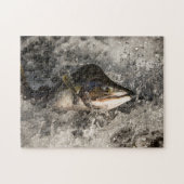 Jumping Salmon Legpuzzel (Horizontaal)