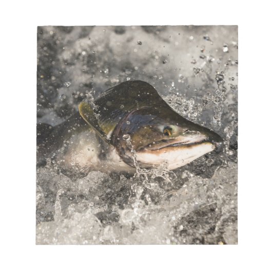 Jumping Salmon Notitieblok (Voorkant)