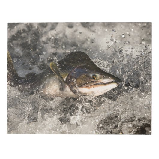 Jumping Salmon Notitieblok (Voorkant)