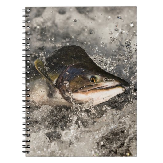 Jumping Salmon Notitieboek (Voorkant)