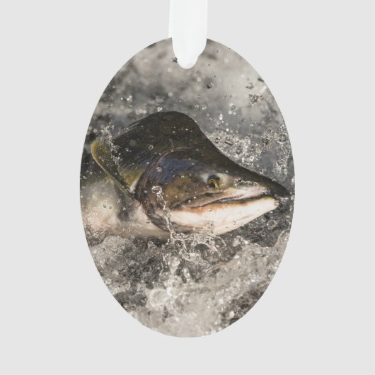 Jumping Salmon Ornament (achterkant)