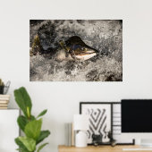 Jumping Salmon Poster (Thuiskantoor)