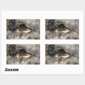 Jumping Salmon Rechthoekige Sticker (Vel)