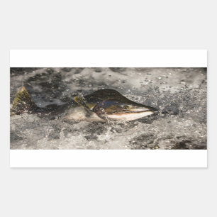 Jumping Salmon Rechthoekige Sticker