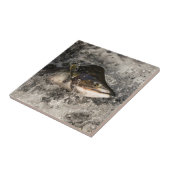 Jumping Salmon Tegeltje (Zijkant)