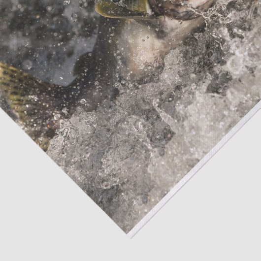 Jumping Salmon Tissuepapier (Detail)