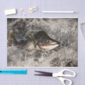 Jumping Salmon Tissuepapier (Craft)