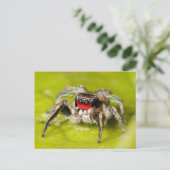 Jumping Spider Briefkaart (Staand voorkant)