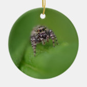 Jumping Spider-kerstversiering Keramisch Ornament (Voorkant)