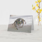 Jumping Spider (Phiddipus audax) Kaart (Gele Bloem)