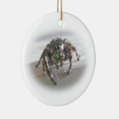 Jumping Spider Phiddipus audax kerstversiering Keramisch Ornament (Rechts)