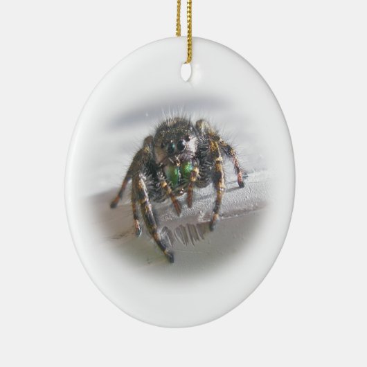 Jumping Spider Phiddipus audax kerstversiering Keramisch Ornament (Rechts)