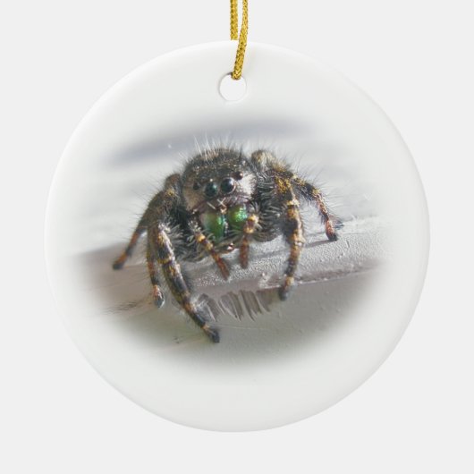 Jumping Spider Phiddipus audax kerstversiering Keramisch Ornament (Voorkant)