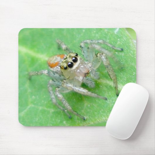 Jumping Spider Salticid Mousepad Muismat (Met muis)